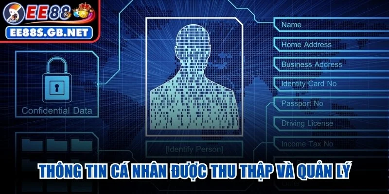 Thông tin cá nhân được thu thập và quản lý